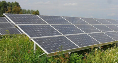 Veld vol zonnepanelen langs A28