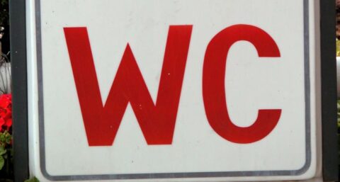 Waterloos toilet moet hygiëne Afrika verbeteren