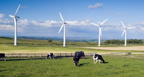 Record voor windmolens in Flevoland