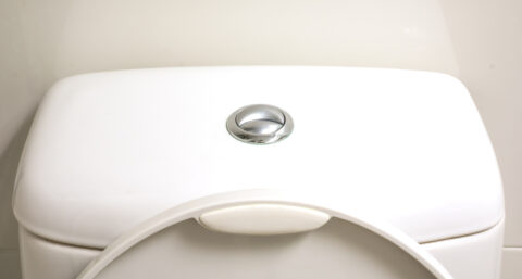 Steeds meer waterbesparing op het toilet in Europa