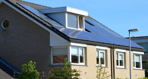 ​PvdA heeft wilde groene plannen