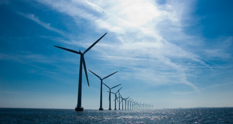 Shell gelooft weer in windenergie