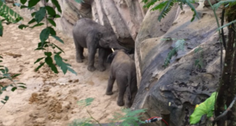 ​`Hufterproof` installaties bij Wildlands Adventure Zoo