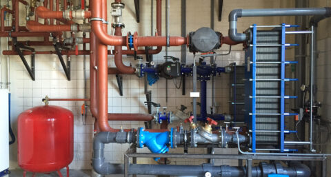 ​Buffer en biomassa in De Nieuwe Stad