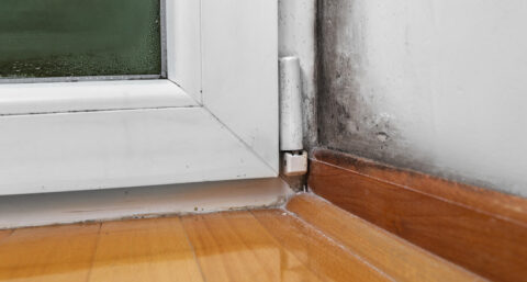 Onderzoek: `Binnenklimaat heeft grote invloed op gezondheid`