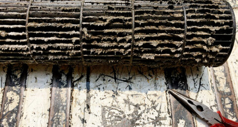 ​Hans Velten: ‘Twee jaar na Monicair is er nog niks veranderd’