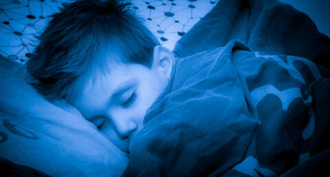 Nightlight: altijd licht in het donker