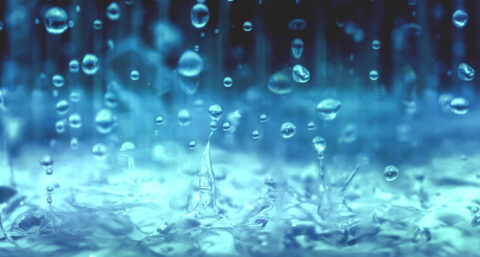 Regenwater voorkomt verkwisting drinkwater