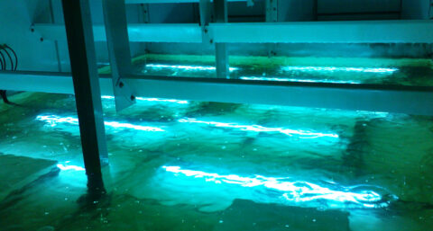 UV-licht moet legionella bestrijden