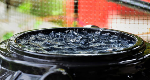 ​Markt krijgt langzaam oog voor circulair watergebruik