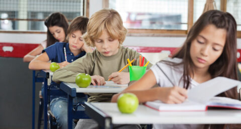 Gebouwinstallaties scholen ondermaats