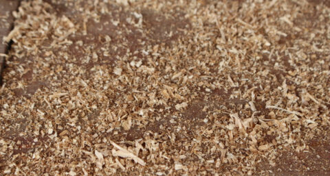 Minder energieverbruik, zelfde zuigkracht