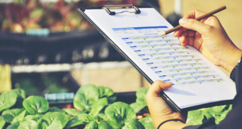 Vergeet certificaten & diploma`s: geef garantie