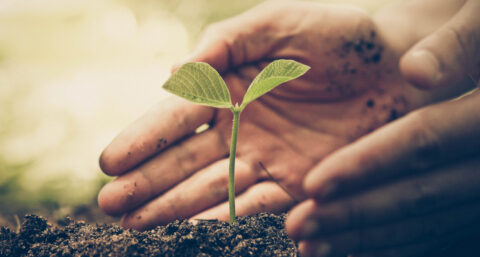 Duurzame (Dinsdag) installatie initiatieven