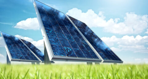 Nederlandse zonnesector heeft veel te bieden