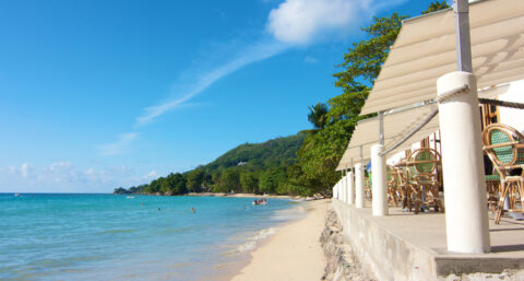 Zonweringtrend: terrasoverkappingen