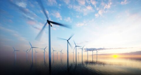 Windlicht: Een mooie windmolen is niet lelijk