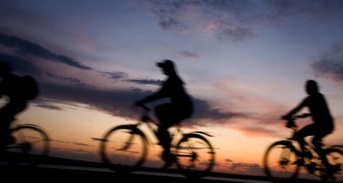 Ventego lijnverlichting in sprookjesachtige fietstunnel bij Vianen