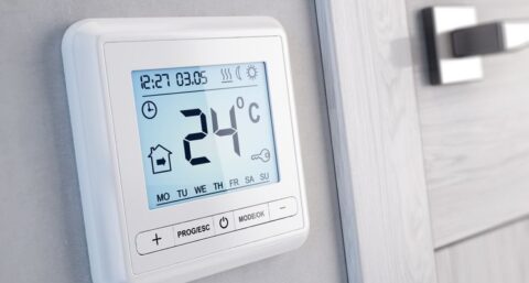 Wordt het Anna, Toon, Nest of geen van allen?