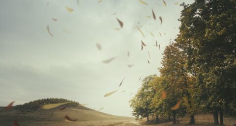 Zuchtje wind is genoeg voor stroomopwekking nokgenerator
