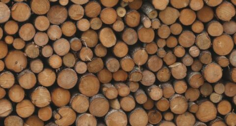 Superhout is het nieuwe staal