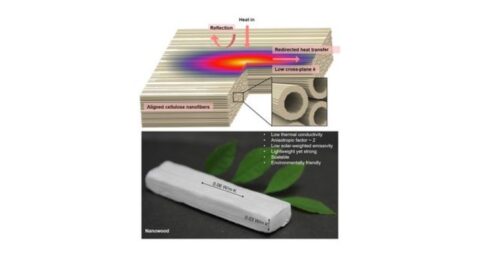 Is nanohout het isolatiemateriaal van de toekomst?