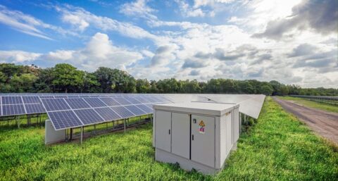 Aantal zonneparken in Nederland groeit: weer 210.000 zonnepanelen erbij