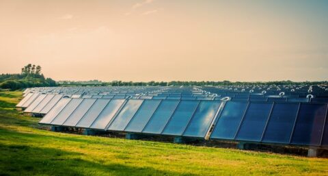 Zonneparken concurreren nauwelijks met voedselproductie