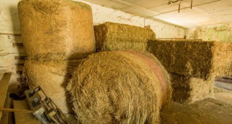 Ook bestaande stallen kunnen veel brandveiliger