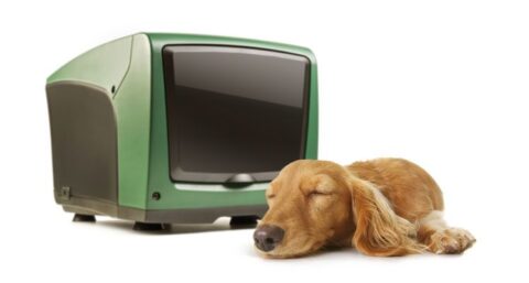 Waterdruk te laag of onstabiel? Een drukverhoger biedt uitkomst