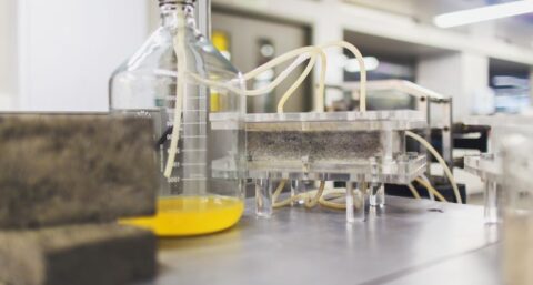 Bouwen met bakstenen van urine