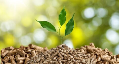 Duurzaamheid moet tussen de oren