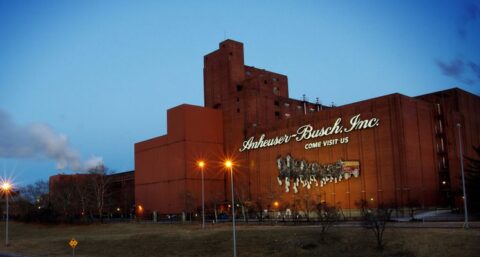 Britse Budweiser-brouwerijen gaan voor 100% op zonne-energie werken