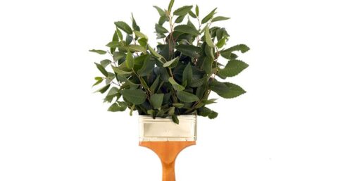 Duurzame verf? Kwestie van gewoon een ander blik pakken