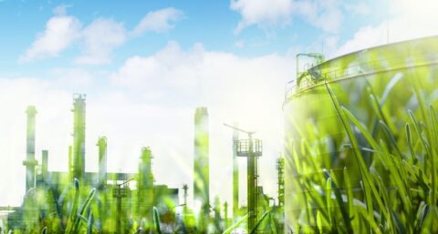 Werkgevers hopen op begrip van overheid bij handhaving informatieplicht