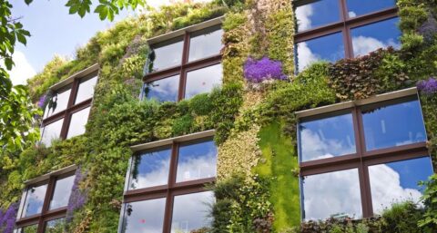 Kijk die plantenwand!