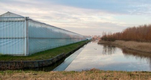 Nieuwbouwwoningen Pijnacker verwarmd met aquathermie