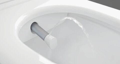 Statement in de moderne badkamer: de eerste zwarte douche-wc