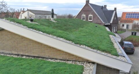 Nederlander heeft geen idee hoe klimaatbestendig te wonen