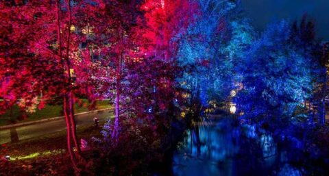 Lights in Blokzijl: Unieke blikvanger tijdens donkere dagen