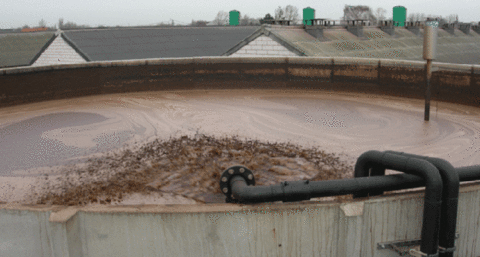 Stercore mag innovatieve mestvergasser bouwen