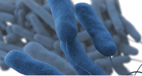 Doorspoeladvies voor verlaten panden tegen legionella