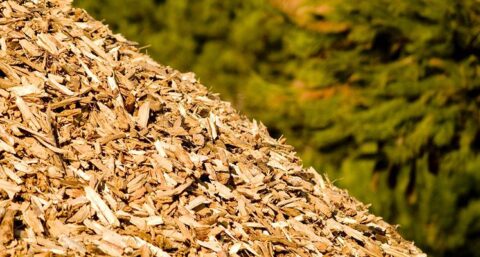 ‘Biomassa klimaatvriendelijker dan geïmporteerd aardgas’