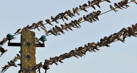 Samen sterk in de bouw