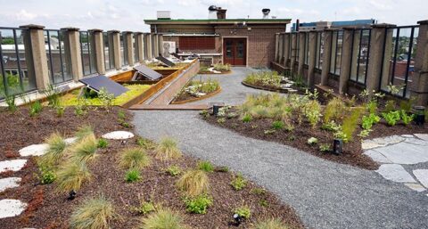 Daken in alle kleuren