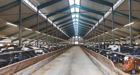 Speciale verlichting voor industriële toepassingen