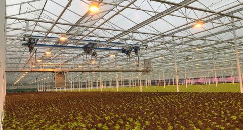 `Meer dan kabels, leidingen en stekkers`