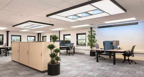 `Verlichting die het welzijn van onze medewerkers stimuleert`