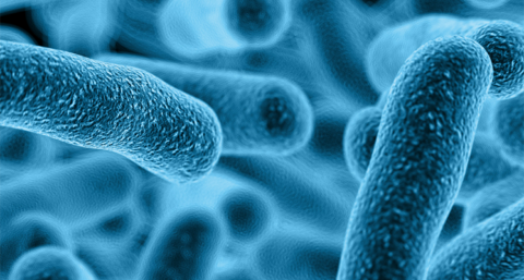 Gaat regelgeving  legionellapreventie in leidingwater op de schop?