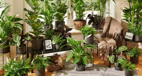 ‘Gezond binnenklimaat zwaarder meewegen in wet- en regelgeving gebouwde omgeving’